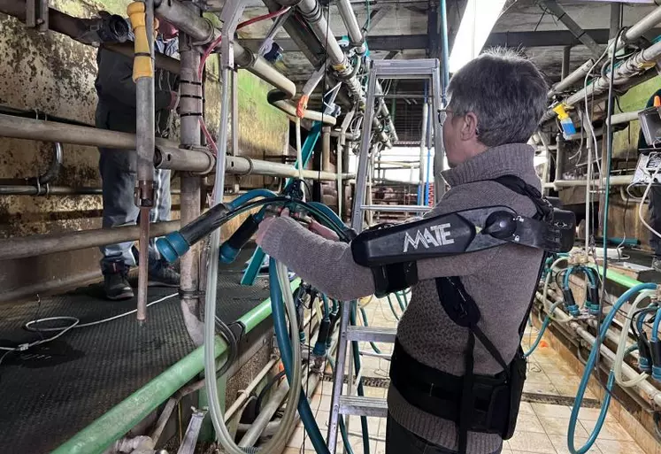 L’exosquelette doit être adapté à la morphologie du trayeur et la salle de traite assez large pour ne pas encombrer le mouvement.