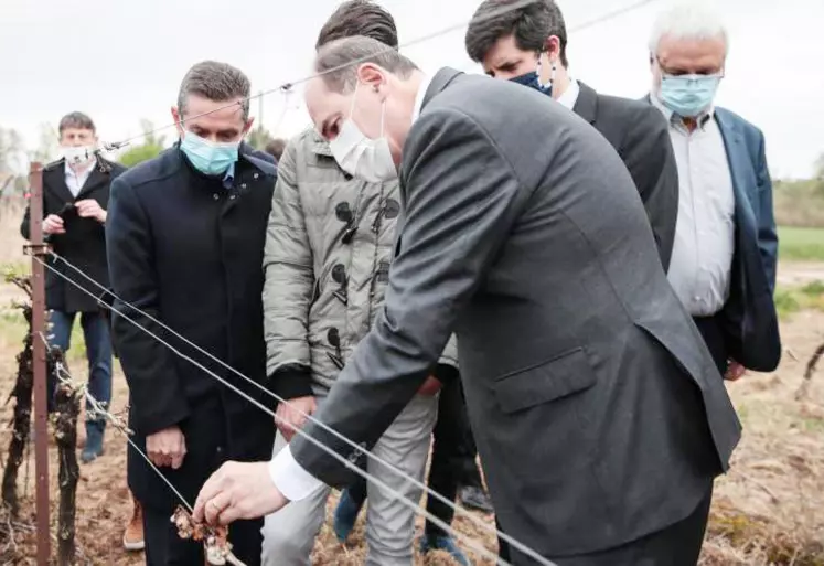 Jean Castex ce matin dans l’Hérault au chevet des viticulteurs touchés par le gel.