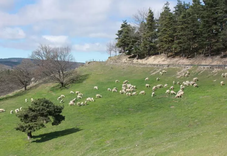 « Notre élevage a su s’adapter aux exigences des marchés, tout en conservant son image de valorisation des territoires difficiles » Claude Font Secrétaire général de la FNO et éleveur en Haute-Loire.