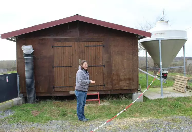 Les petits poulaillers, d’une surface de 62,5 m2 sont en bois sur plancher pour une meilleure isolation et le confort des animaux.