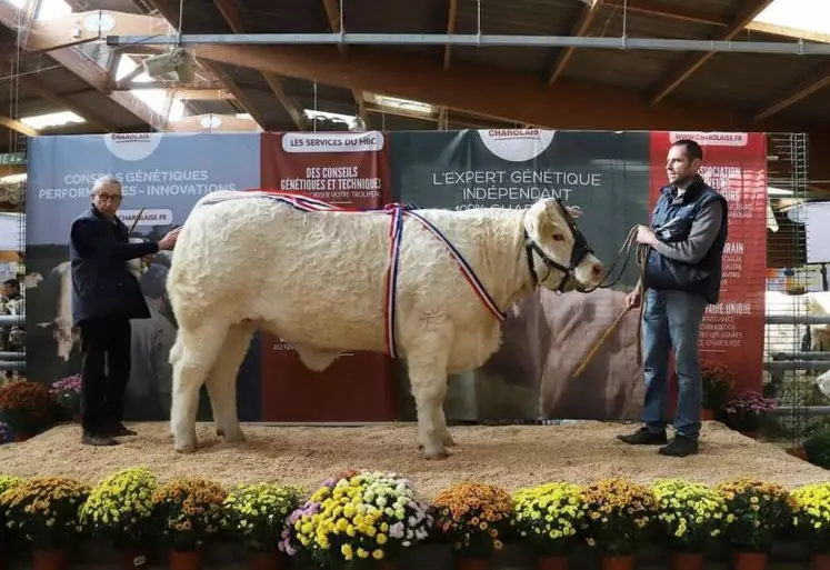 « Sephora », prix d’honneur junior, grand prix d’honneur femelle et prix de la ville de Charolles (Qualifiée pour la finale de Moulins).