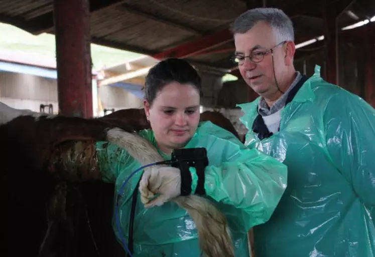 Vétérinaire rural est un métier qui n’attire plus autant les jeunes qu’avant et qui engendre une désertification dans les zones rurales.