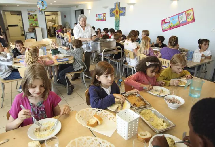 Selon l’Ademe, en matière de gaspillage alimentaire, la répartition des pertes est mieux gérée dans les écoles primaires que dans les collèges.