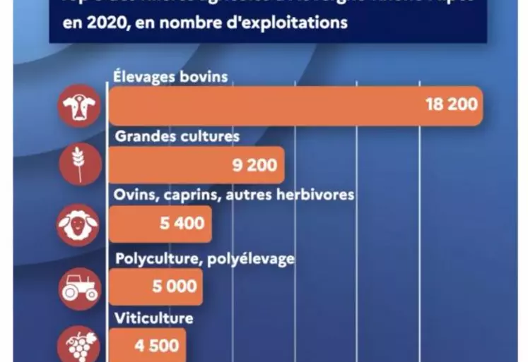 Si le nombre d’éleveurs est en baisse constante à chaque nouveau recensement agricole, l’élevage bovin reste encore la première production en Auvergne-Rhône-Alpes.