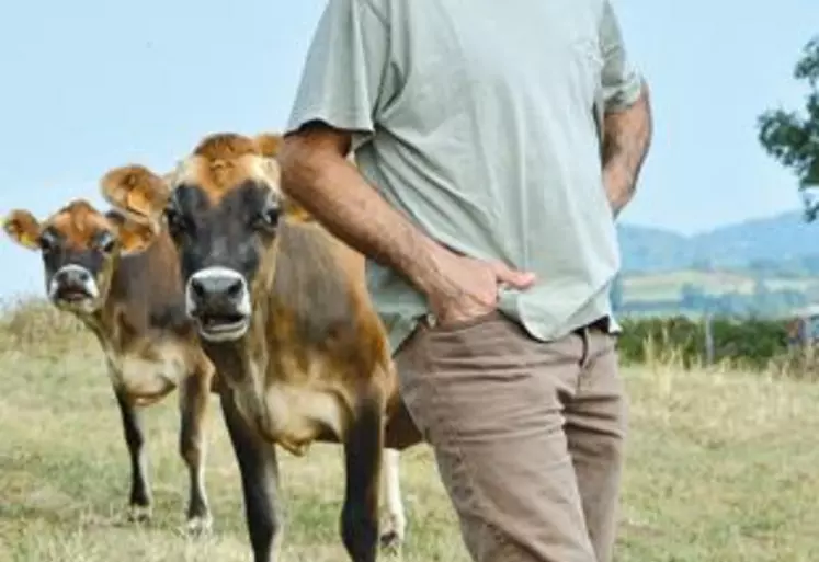 Patrick Ganne ne regrette pas d’avoir adopté la Jersiaise. Plus rustique, elle lui demande moins de temps de travail et produit un lait de meilleure qualité.