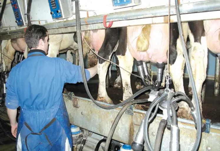 Dans le secteur animal, qui a subi globalement une baisse des prix, les exploitations laitières sont les plus affectées.
