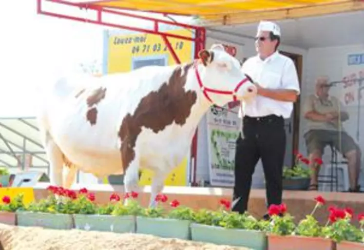 Fleur du Gaec de Vareilles à St Just dans le Puy-de-Dôme remporte la 1ère place dans la section vaches en 4ème lactation