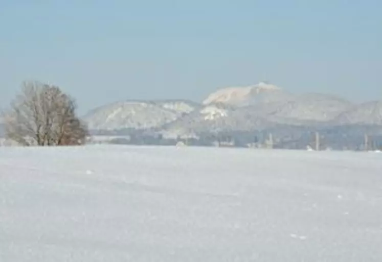 En début de semaine, la neige est retombée en plaine comme en montagne renforçant la protection des blés contre le froid, susceptible de revenir.