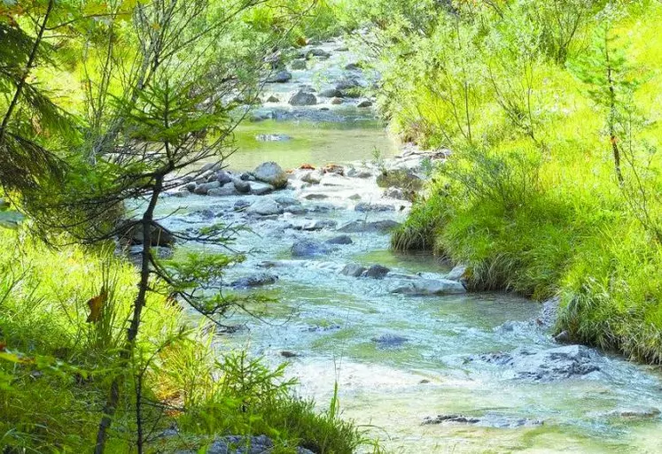 La situation hydrologique inquiète déjà dans le département, en effet peu de pluie, un hiver anormalement doux ainsi les nappes phréatiques n'ont pu se recharger.