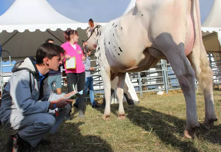 Le Trophée des Massifs rassemble une centaine d’étudiants de la région Auvergne-Rhône-Alpes.