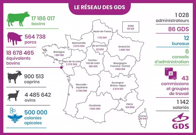 Le réseau des GDS s’articule autour de 3 structures, généralement associatives, agissant de manière complémentaire. Les GDS départementaux ou interdépartementaux apportent la proximité avec les éleveurs et les acteurs publics et professionnels locaux et la réalisation concrète des actions sanitaires. Les Fédérations Régionales (FRGDS) mettent en commun les moyens mutualisables, portent l’OVS, sont les interlocutrices des services décentralisés de l’Etat, les DRAAF via ...