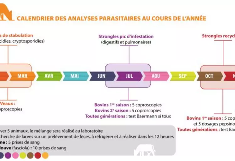 La période de stabulation est propice au développement de plusieurs parasites du veau : cryptosporidies, coccidies, ascaris, strongyloïdes... Le diagnostic passe par la recherche des oocystes ou des oeufs de nématodes dans les fèces, au moyen d'une coproscopie parasitaire. Ce n'est qu'une fois le diagnostic posé que l'on mettra en place le traitement.