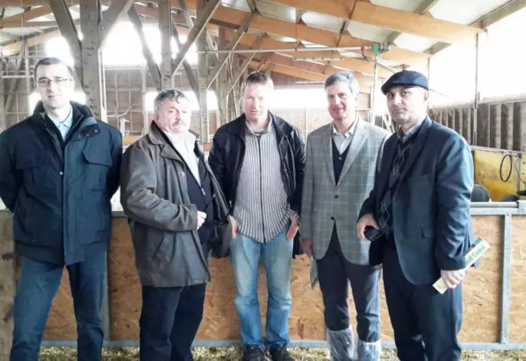 De gauche à droite : Jérôme Gueux, directeur de Fedatest et Rom Sélection, Jean-Luc Chauvel, président, Olivier Bernard, président de la section noire du Velay, Hossein Salari, PDG du groupe Kalagen, Mohammad Mollasalehi, vice-ministre adjoint chargé de l’élevage.