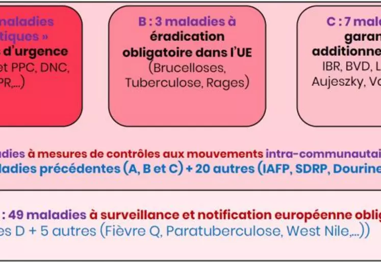 63 maladies animales, terrestres ou marine, sont listées dans la LSA. Leur classification vient remplacer les notions de Danger Sanitaire 1, 2 et 3 de la réglementation française. Pour la plupart, il n’y a pas de différence majeure entre l’ancien et le nouveau classement mais les exigences réglementaires peuvent évoluer pour certaines pathologies.