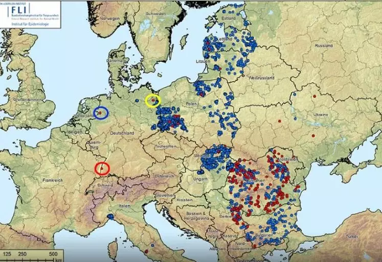 La diffusion de la maladie se fait suivant deux modalités bien distinctes :
- Progression liée aux déplacements de sangliers infectés dans les zones contaminées.
- Apparition de foyers dans des zones saines, le plus souvent liée à des activités humaines (distribution, volontaire ou involontaire, de déchets carnés contaminés ou à des contacts avec des supports contaminés). Cerclés, les 3 derniers foyers en élevage en Allemagne.