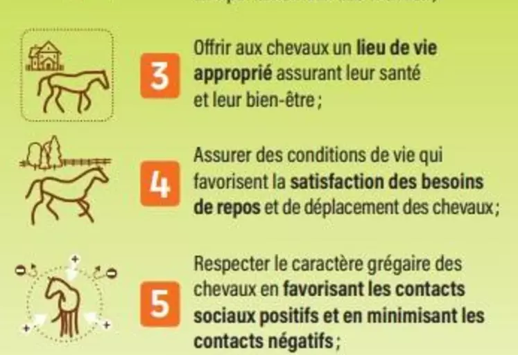 La visite sanitaire 2022-2023 est consacrée au bien-être animal. Pour 2022, elle doit être faite pour les élevages avec des numéros pairs, contactez votre vétérinaire sanitaire si vous ne l’avez pas encore faite.