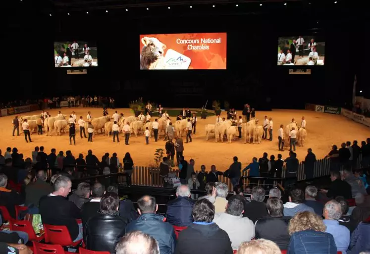 Spectacle de haut niveau pour le charolais.