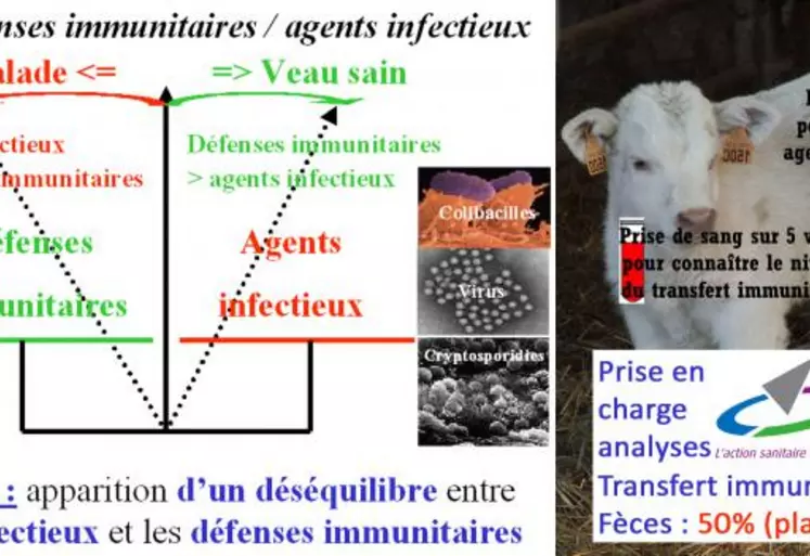 Les cryptosporidies sont des parasites présents dans tous les élevages. Seules les insuffisances immunitaires et/ou les facteurs favorisants de contamination permettent leur développement entraînant des signes cliniques sur les animaux, d’où la nécessité d’investiguer alors systématiquement et correctement les deux plateaux (identification des agents infectieux et connaissance du capital immunitaire) pour mettre en place un plan de lutte et de prévention efficace et durable. GDS ...