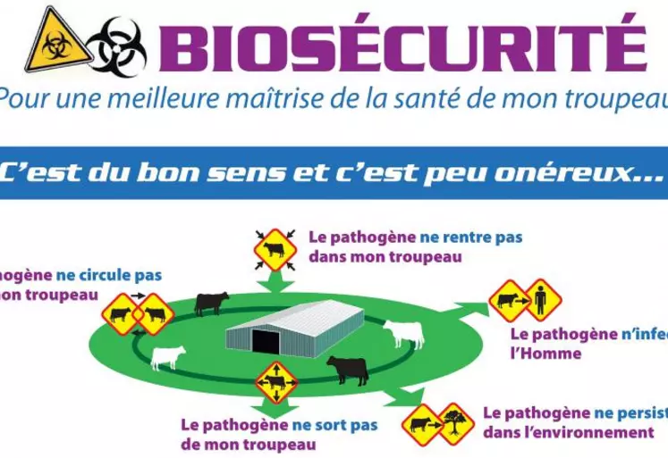 La biosécurité peut se décomposer en 5 axes de points de maîtrise. Les 3D (désinfection, dératisation, désinsectisation) en sont des éléments constitutifs importants.