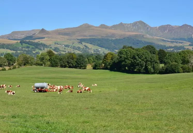 Concernant l’élevage à l’herbe, les projets pourront porter également sur l’adaptation des pratiques d’élevage herbager dans le contexte du changement climatique.