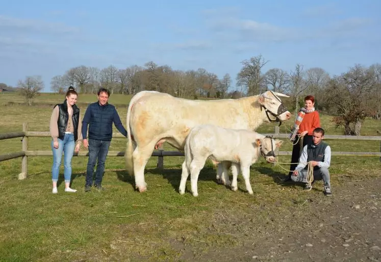 Le Gaec Élevage Verger monte au Salon avec Précieuse, une vache suitée de 3 ans.