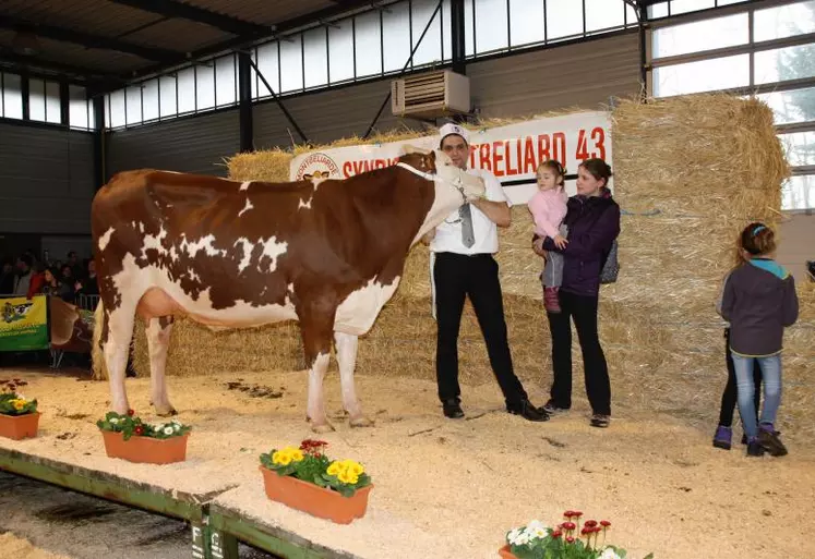 Istamoise Miss Montbéliarde 2016 en Haute-Loire vise la plus haute marche au Sommet.