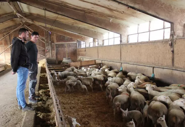 «On fait partie intégrante d’une filière, dans laquelle on a besoin les uns des autres» explique Roland Simon (ici avec Medhi Viallet de l’APIV Auvergne).