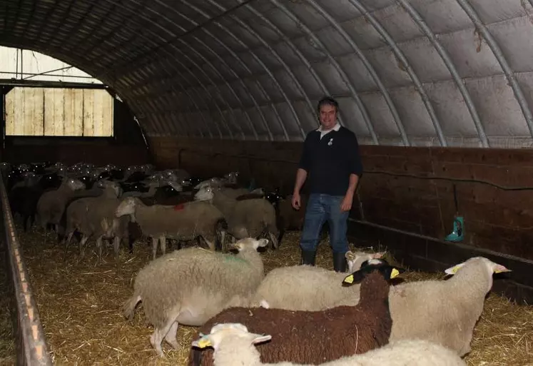 Claude Font reconnait une certaine inquiétude sur l’avenir de la production ovine.