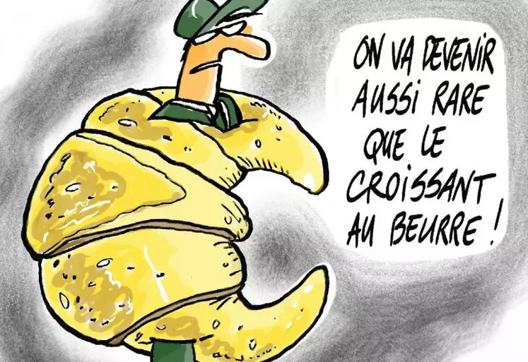 André Bonnard FNPL : «Rien ne change, rien ne bouge, nous sommes toujours dans la guerre des prix… Au final, les dindons de la farce sont toujours les producteurs, alors qu'ils sont totalement hors du jeu».