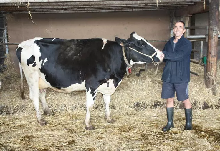 Daniel Guignand avec Fherka, une vache en 4e lactation, qui a toutes ses chances de remporter un prix.
