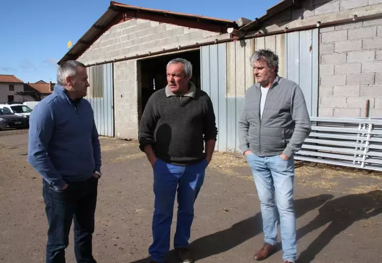 Yannick Fialip, Alain Comptour et Claude Font ont fait le point sur cette violente attaque de brebis par des chiens errants.