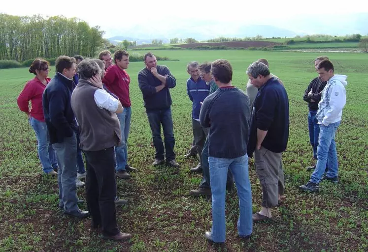 Réunion technique autour d’un champ de céréales en agriculture biologique.