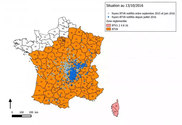 Le nombre total de foyers depuis septembre 2015 est de 560 dont 276 détectés depuis juillet 2016. Cette semaine 82 foyers ont été notifiés, qui n'entraînent pas de modification de la zone réglementée.
La répartition départementale des 82 foyers est la suivante : Ain : 8 foyers 
(1 clinique ) ; Allier : 1 ; Ardèche : 1er ; Cantal : 1 ; Charentes Maritimes : 1 ; Drome : 1 ; Isère : 1 ;  Jura : 2 ; Loire : 
12 (1 clinique) ; Haute-Loire : 25 ; 
Lot : 1 ; Lozère : 1 ; Nièvre : 1 ...