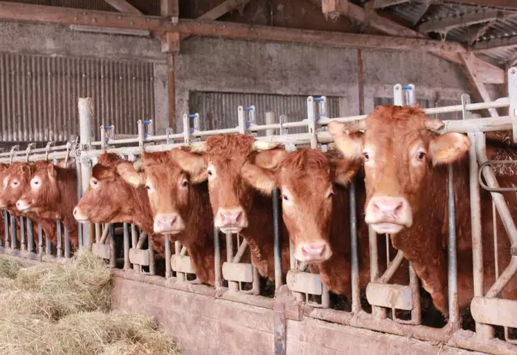 2017 s’annonce moins dramatique que 2016, mais les agriculteurs n’arrivent toujours pas à tirer un revenu digne de leur métier et souffrent de l’instabilité de leurs revenus.