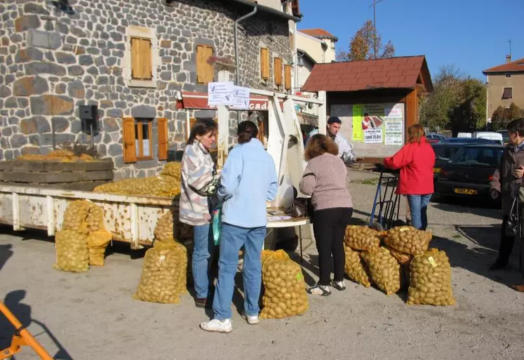 La foire à la patate, un rendez-vous important pour les fanas de ce tubercule !