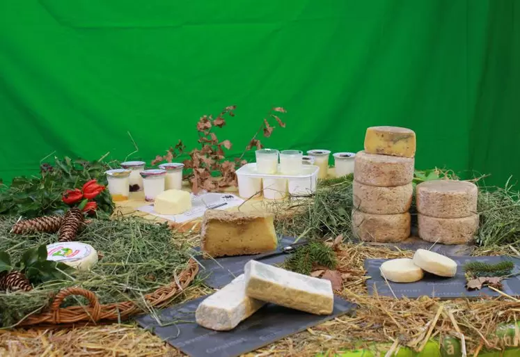 Le fromage au lait cru, un des fleurons de notre gastronomie locale voire française, mis à mal.