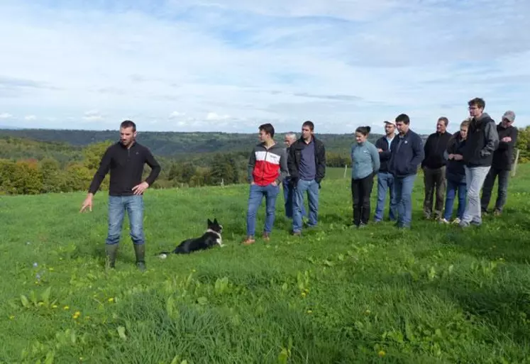 La journée technique de Cantal conseil élevage s'est déroulée au Gaec Reyt avec des interventions sur les coûts de production, un atelier d'analyse visuelle des fourrages et la visite d'essais culturaux.