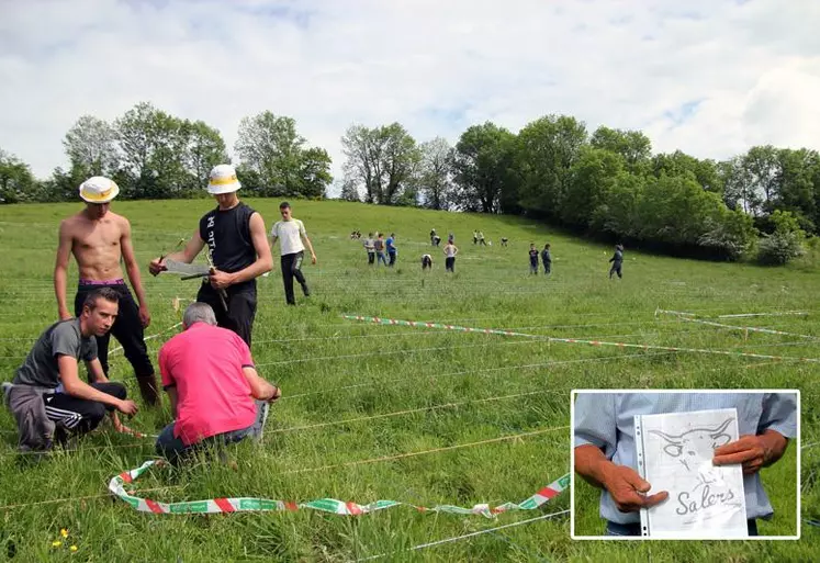 Le dessin dans les mains de Jean-Pierre Lavergne (ci-contre) sera reproduit à l’identique, sur un hectare grâce au travail d’une petite trentaine
de lycéens, aussi motivés qu’adroits. 
La tête de salers géante sera certainement filmée par les caméras de l’hélicoptère du Tour de France.