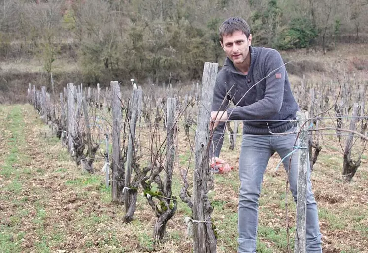 Sébastien Lavaurs dans les vignes de Montmurat qu’il élève patiemment, en attendant une première vendange en 2020 et le cru 2021. 