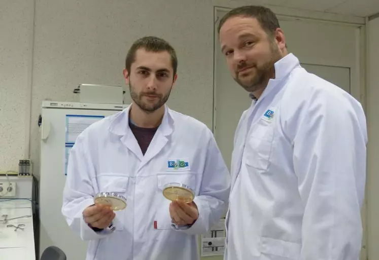 Jean-Philippe Fayol, directeur opérationnel de Biovitis, et Benjamin Chicot, responsable agroalimentaire. Saint-Étienne-de-Chomeil vise la certification Iso 22 000 en agronomie.