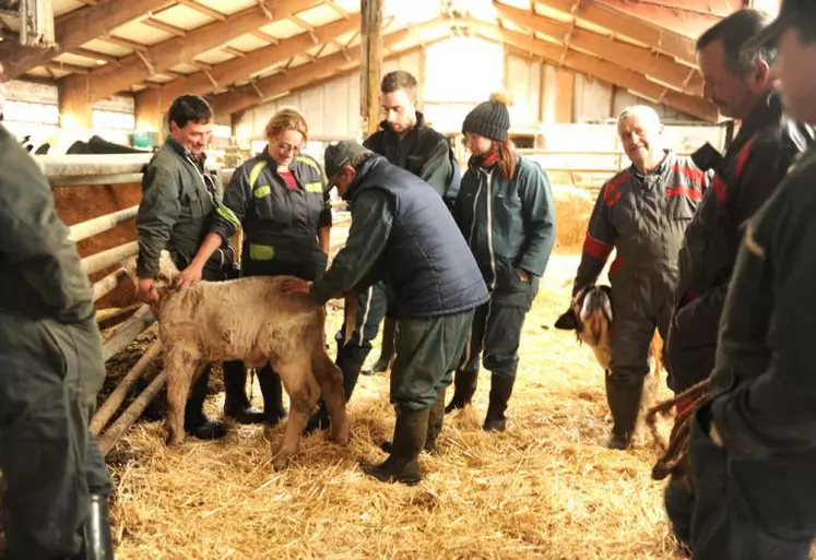 L’objectif de l’intervenant : rendre les éleveurs autonomes avec la santé de leurs animaux.