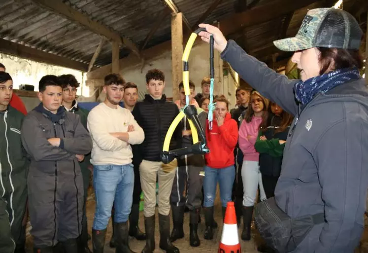 De l'importance de répondre aux besoins de grattage, machouillage, découverte des veaux en parcs, 
expliquée par Pauline Garcia, pendule maison confectionné avec des manchons de trayeuse.