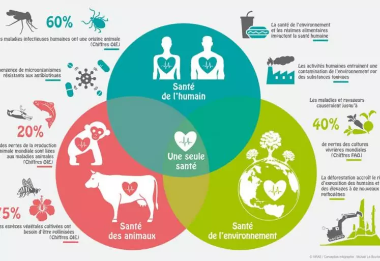 Le concept One ealth : santés humaine, animale et environnement intimement liés.