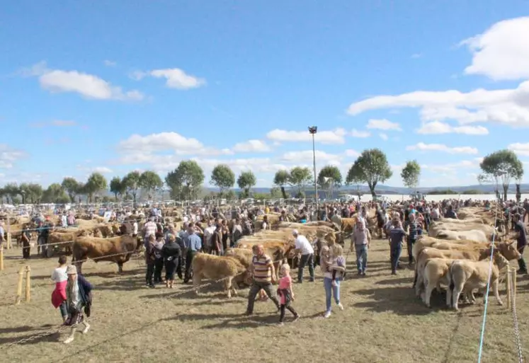 Le public est venu nombreux profiter de cette journée estivale. La star du jour : l’aubrac.