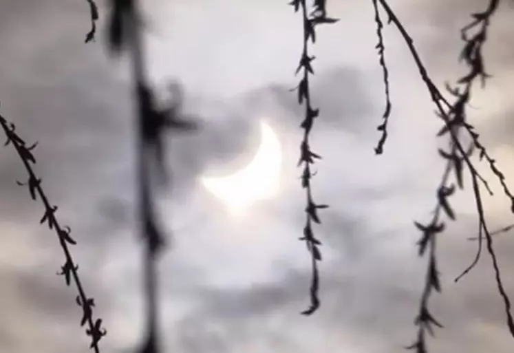 Une éclipse de soleil est toujours un spectacle exceptionnel.