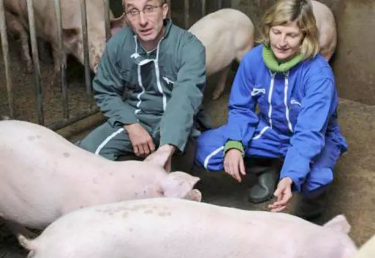 Les qualités de la race étaient rappelées par Jersiaise France lors d’une journée technique programmée dans le Cantal.