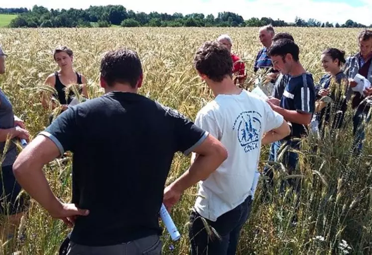 Tour de parcelles, rendu d’essais, opérations "démo’flash"... autant d’actions pour vulgariser les pratiques alternatives développées.