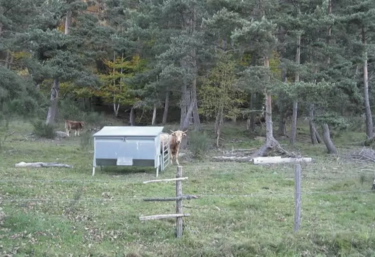 out le monde s’accorde sur la nécessité de la nécessité de pérenniser la valorisation des milieux agricoles atypiques, y compris lorsqu’il est question de productions bovines sur les milieux en question.