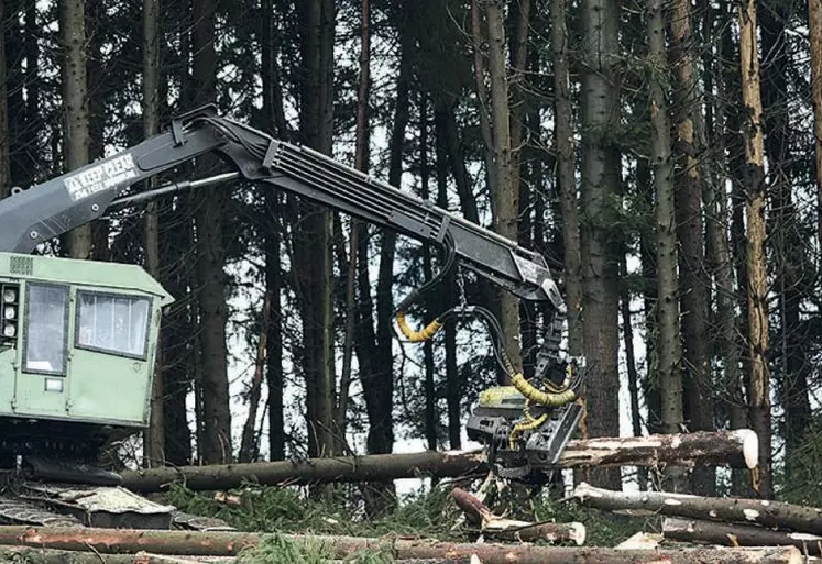 La progression du prix des forêts est à relier à la hausse du prix des terres agricoles.