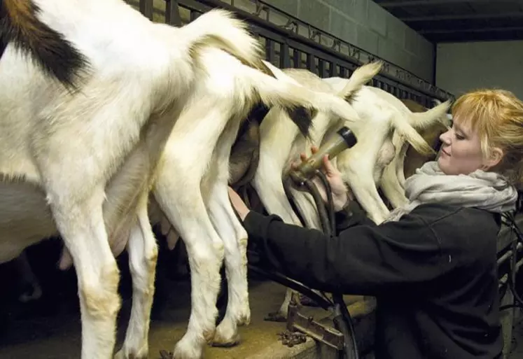 L’usure des manchons et tuyaux amène à la formation de micro-craquelures, pas toujours faciles à détecter à l’œil nu. Il faut penser à les remplacer régulièrement.